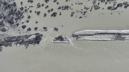 Атырауских фермеров из-за паводков обязали перегнать скот на возвышенности