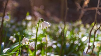 Наурыздың соңғы күндері ауа райы қандай болады