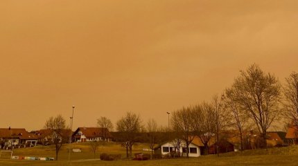 Туманы и пыльные бури прогнозируют синоптики на юге Казахстана в выходные дни