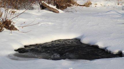 Три человека погибли в России, провалившись под лёд
