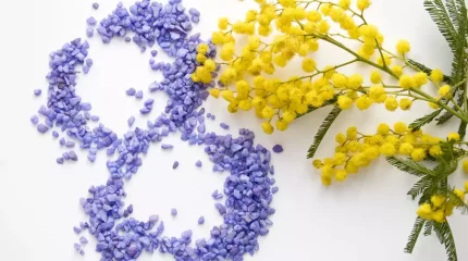 8 наурызға орай демалыс қай күнге ауыстырылды?