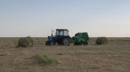 В ЗКО более 380 тыс. гектаров, незаконно выданных сельхоз. земель вернули государству