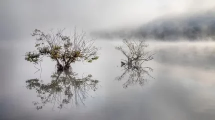 Синоптиктер бірнеше өңірде ауа райына байланысты ескерту жасады