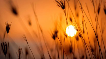 Более 50 вспышек на Солнце произошло за последние четыре дня