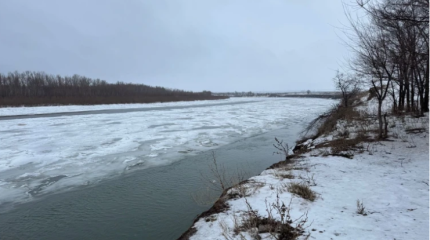 Уровень сразу трех рек поднялся на Западе Казахстана