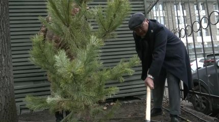 Қорғаныс министрлігі Жеңістің 80 жылдығына орай 80 көшет егеді