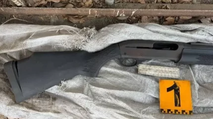 Қазақстан халқының неше пайызы үйінде қару ұстайды