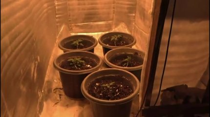 Оборудовал потайную комнату под нарколабораторию в собственном доме житель ЗКО