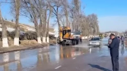 Ұзынағашта 30 үйдің ауласы су астында қалды