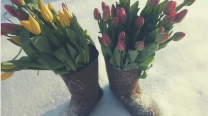 В Астане метель, в Алматы и Шымкенте снег с дождем: погода на 7 марта