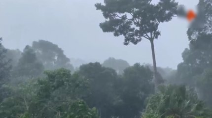 Аустралияның шығысында дауыл күшейді