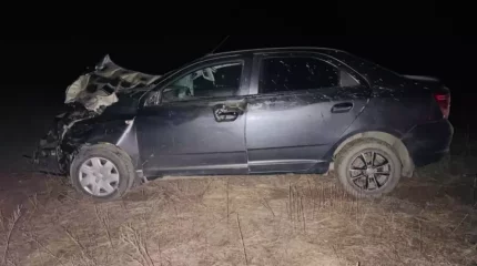 Павлодар облысында жүргізуші иесіз малмен соқтығысқан