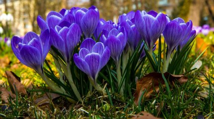 Синоптики озвучили прогноз погоды на апрель