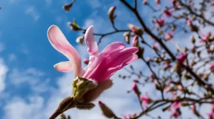 Алдағы күндері ауа райы қандай болады?