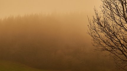 Астанчан предупреждают о пыльной буре в четверг, 10 апреля