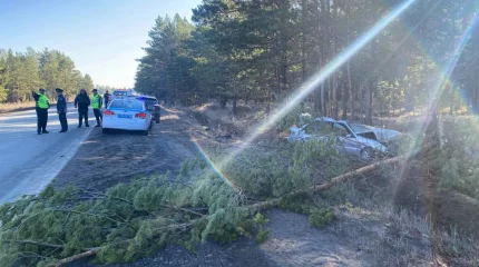 Абай облысында жол апатынан жүргізуші қайтыс болды