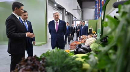 Выставку шымкентской сельхозпродукции посетил Президент