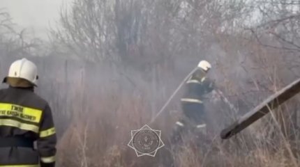 Сухая трава и дачные домики загорелись в Павлодаре