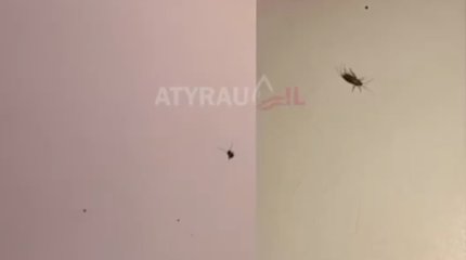 Атырауские роженицы жалуются на антисанитарию в модульной больнице