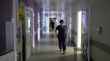 Атырауда облыстық ауруханадағы жәндіктер емделушілерді шошытты