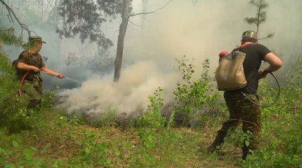 Экология министрі Үкімет басшысынан көмек сұрады