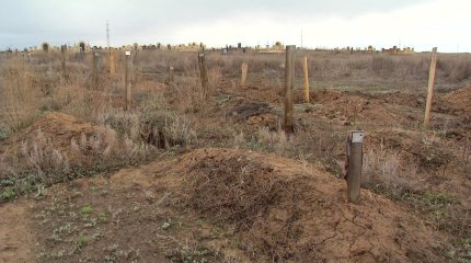 "Бомждар"-дың жаназасы шығарылмайды