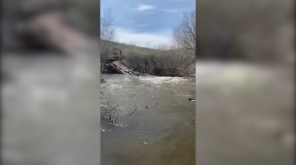Спасатели нашли тела трех человек, которые накануне упали с моста в реку в области Абай
