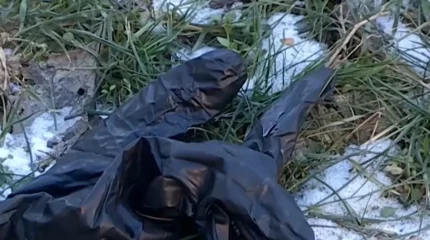 Шымкентте шешесін өлтірген жігіт жазадан құтылып кетті