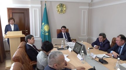 Көлікті құжатсыз айдаған әкім қызметіне толық сай емес - Әдеп кеңесі