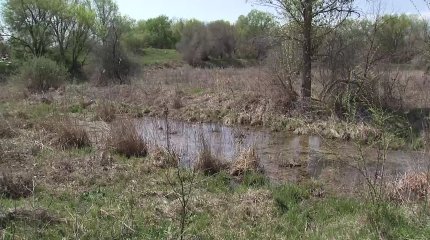 Алматы маңындағы ауыл тұрғындары кәріз суының иісіне тұншығып отыр