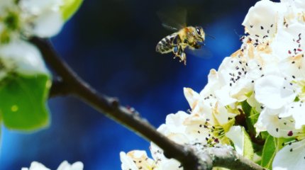 В Астане - гололёд, в Шымкенте - 25 градусов тепла: прогноз погоды в мегаполисах на 2 апреля
