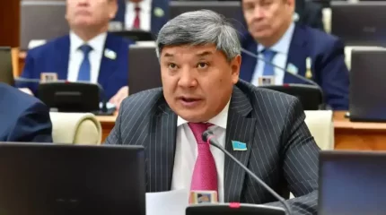 Депутат о пропаганде ЛГБТ: USAID закрыт, но финансирование из западных стран продолжается