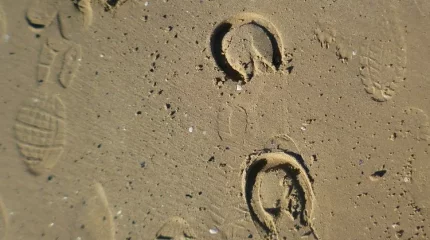 Актюбинского пастуха нашли спустя четыре дня в соседей области