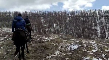 Без связи и снаряжения: трое всадников пропали в маркакольских лесах