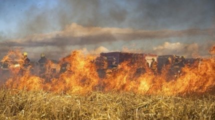 Гигантский пожар едва не уничтожил село в СКО