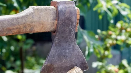 Қызылордада әйелін балтамен соққыға жыққан мұғалім ұсталды