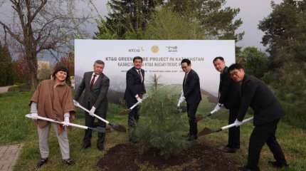 Южная Корея займётся восстановлением лесов в области Абай