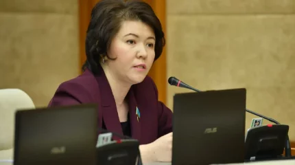 Жұлдыз Сүлейменова  кітапханашылар туралы министрге сауал жолдады