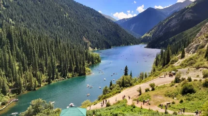 Олигархи не имели права получать земли в нацпарках, - депутат
