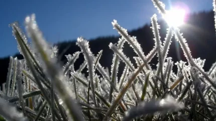 В Астане заморозки, в Шымкенте под +30: погода в мегаполисах в четверг, 24 апреля