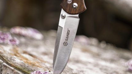 Жителя Астаны арестовали на 15 суток за преследование с ножом