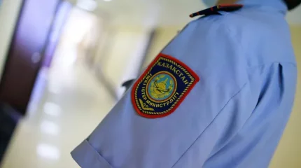 Түркістан облысында көршісінің үйінен 1,5 млн теңге ұрлаған күдікті ұсталды