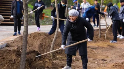 Астанада ауқымды жалпықалалық сенбілік басталды