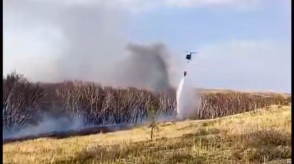 Природный пожар тушат в Карагандинской области