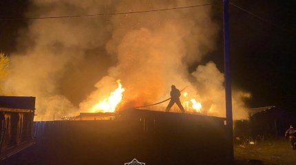 Десятки лошадей и овец спасли из огня в Семее