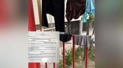 Қазақстандық әйел үйдің кіреберісіне кір жайғаны үшін айыппұл арқалады