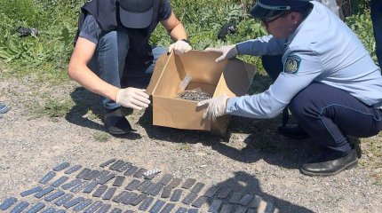 12 тысяч наркосодержащих таблеток изъяли у двух путников в Туркестанской области