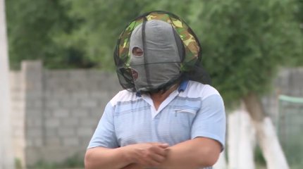 Түркістан облысында шіркей тағы да елдің мазасын қашырып тұр