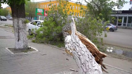 Сорванные крыши и поваленные деревья: в Костанае 2-ой день бушует ураган