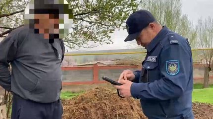 Сельчанина наказали за выброшенный навоз в Туркестанской области